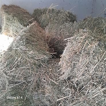 Сено в тюках. - Натуральная заготовка из полевых трав, прессованное в at lalafo.kg Сено в тюках. - Натуральная заготовка из полевых трав, прессованное в