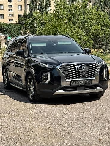 Hyundai Palisade: 2018 г. — 1