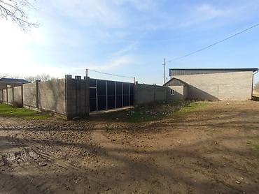 Кыймылсыз мүлк: 64 соток — 9