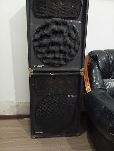100w: Срочно и недорого продам две мощные и громкие акустические колонки — 1