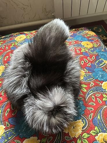 норковая жилетка купить: Меховая шапка-ушанка с длинным хвостом из натурального — 8