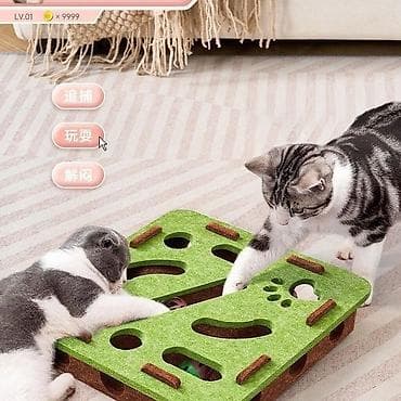 canada goose: Весь комплект из 6 предметов - 2500 с. выгодная покупка для — 8