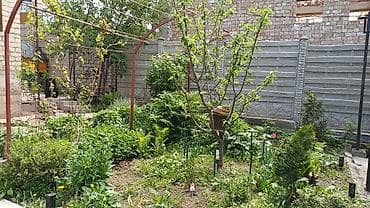 село виноградное: 🏡 🏡 Продаётся уютная дача в селе Таш-Мойнок (Победа) Продаётся — 9