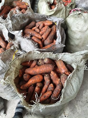 кой сатам: Сабиз Дүңүнөн — 2