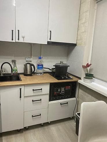 квартира с животными: 3 комнаты, 58 м², Ата-Тюрк парк Индивидуалка, 1 этаж, Евроремонт — 4