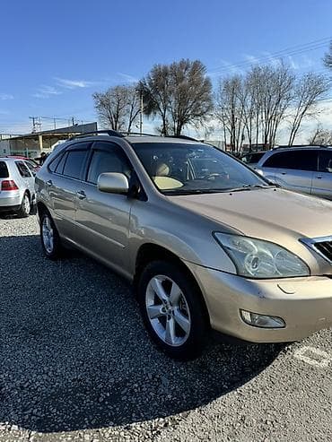 Lexus RX: 2004 г., 3.3 л, Автомат, Газ, Кроссовер