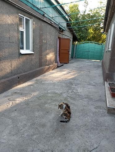 Дома: Продаю 2 дома на одном участке !!!! район Ниж.Аларча первалия — 8