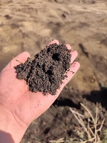 колпаки: В мешках, Бесплатная доставка, Камаз — 3