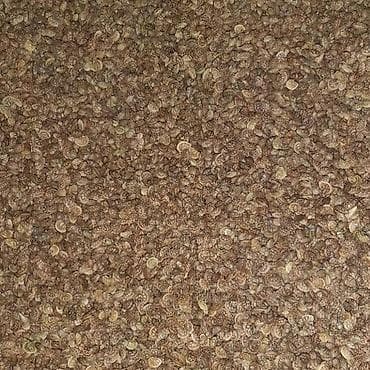 семена редьки маргеланская: Семена кормовых растений: Эспарцет, Самовывоз — 2