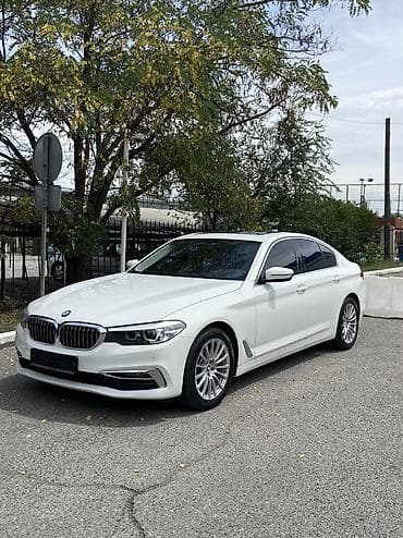 BMW 5 series: 2019 г., 2 л, Автомат, Бензин, Седан — 1