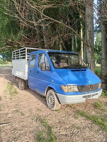 Mercedes-Benz Спринтер: 1999 г., 3 л, Кол менен иштөөчү, Дизель — 1