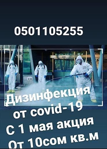 Дезинфекция, дезинсекция, | Тараканы, Вирусы, микробы, Блохи, | Квартиры, Дворы, Кафе, магазины