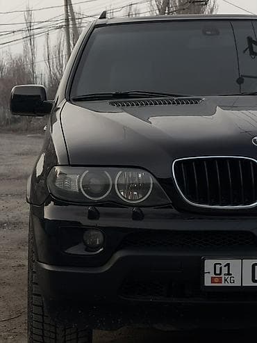 летняя резина 16: BMW X5: 2002 г., 4.4 л, Автомат, Бензин, Внедорожник — 6