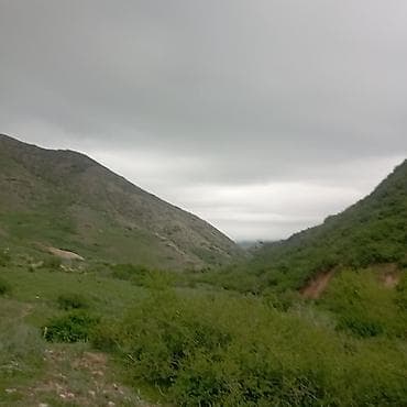 места каракол: Продаётся участок с фундаментом красная книга пять соток 2 комната — 9