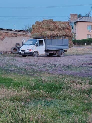 53 дизил: Ford Transit: 1996 г., 2.5 л, Механика, Дизель — 1