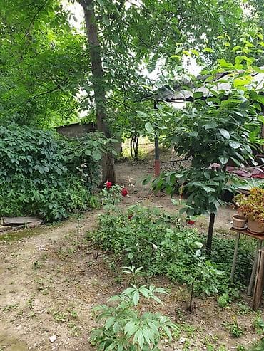сокулук селекция: 3 бөлмө, 90 м², 1 кабат, Дизайнердик ремонт — 8