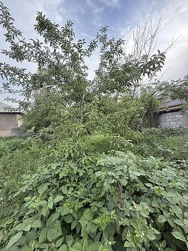 скоро: Продается дом участок 4,5 в районе жм Ак босого в огороде есть — 6