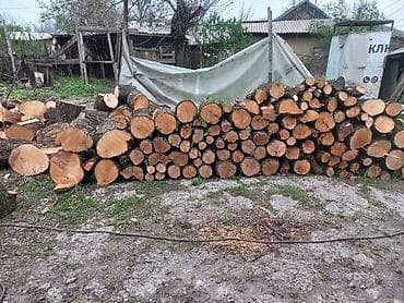 коне корсе: Дрова Самовывоз — 3