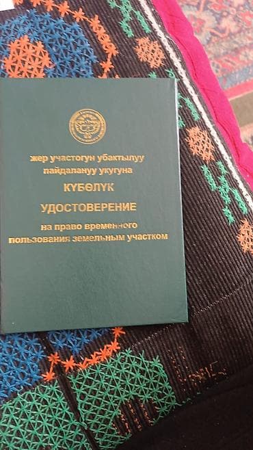 желмаян ош цена: 345 соток, Для бизнеса — 5