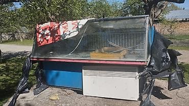 Муздатуучу жабдуулар: Холодильная витрина (прилавок) — 1