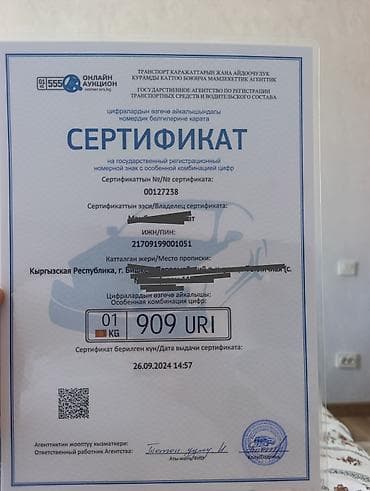 Индивидуальная автомобильная комбинация номера: 909 URI (регион 01 KG
