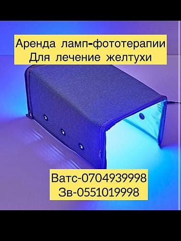 лампа h4: Аренда лампы фототерапии Жалалабад для лечения неонатальной желтухи — 1