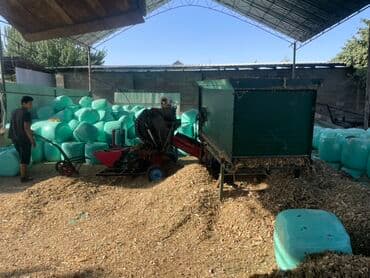 охрана дома: Предлагается силос, измельченный и смешанный корм, предназначенный для — 4