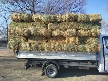 корм для домашних животных: Чоп аралаш камыш сатылат доставка мн 
115 штук — 1