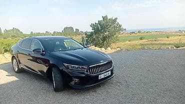 Kia Cadenza: 2019 г., 0.3 л, Автомат, Газ, Седан