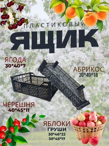 головка ключи: Пластик Ящик, Жаңы — 12