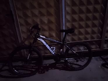 fixed gear: Горный велосипед, Сталь — 1