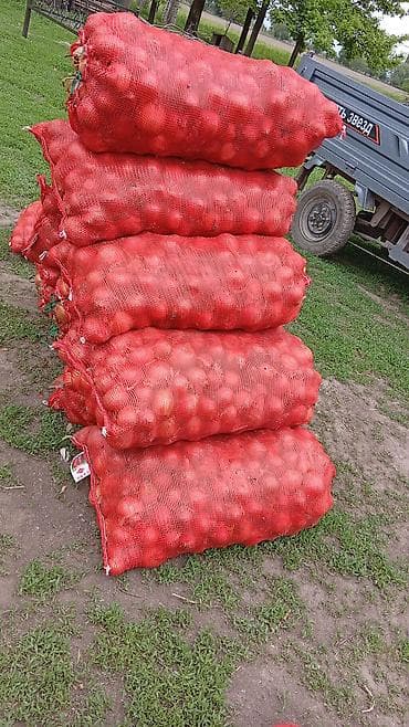 Картошка Оптом