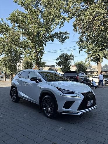 lexus e350: Lexus NX: 2020 г., 2 л, Автомат, Бензин, Кроссовер — 6