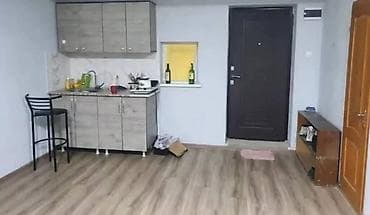 квартира берилет: 1 бөлмө, Кыймылсыз мүлк агенттиги, Чогуу жашоосу жок — 4