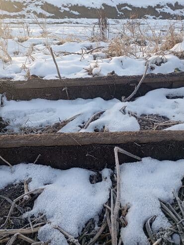 хтз т 150 к: Продаю мала на трактор т150 из рельсы 
7 метровая без борон — 6