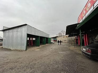 куда: Действующий, 53000 м² — 1