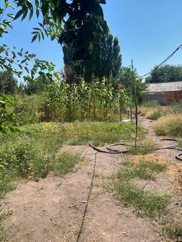 продаю дом в ак босого: Үй, 150 кв. м, 4 бөлмө, Менчик ээси, Эски ремонт — 14