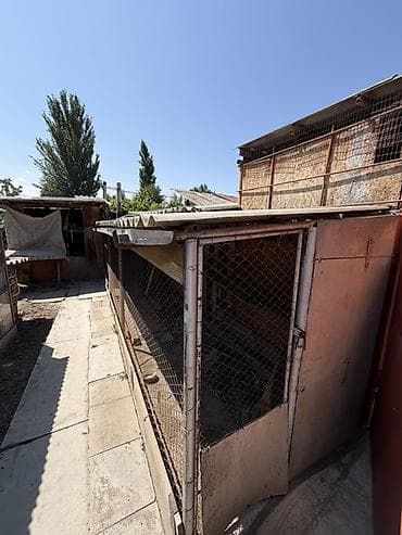 📍 В Сокулуке от трассы 500 м продается дом на участке 15 соток, 65 — 6