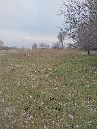 Гаражи: 4 соток, Для строительства — 1