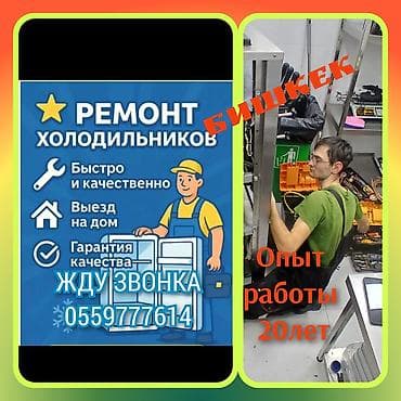 Ремонт холодильников и морозильных камер Профессиональная диагностика