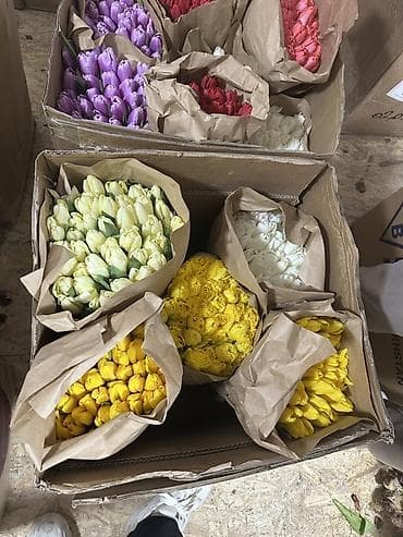 форма для спорта: Букеты из тюльпанов - Состав: свежесрезанные тюльпаны с плотными — 5