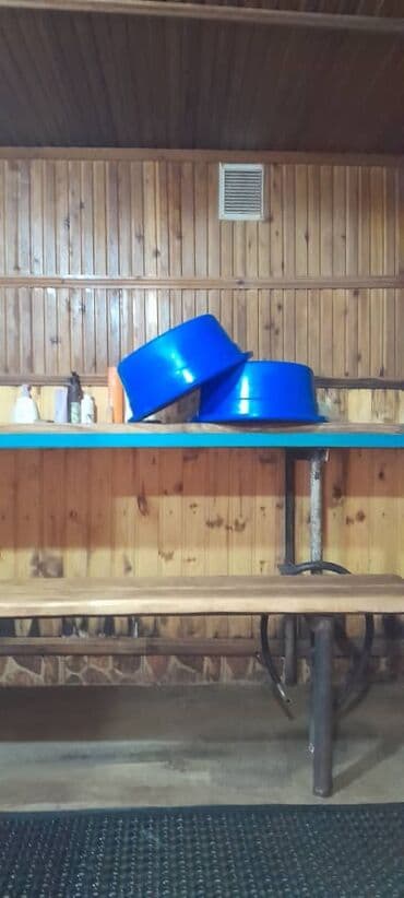 продаю дом новониколаевка: Үй, 150 кв. м, 5 бөлмө, Менчик ээси, Евро оңдоо — 27