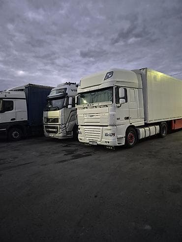 термокинг: Тягач, DAF, 2008 г., Холодильник, рефрижератор — 1