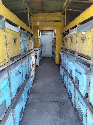 corolla runx: Прицеп, Special trailer — 3