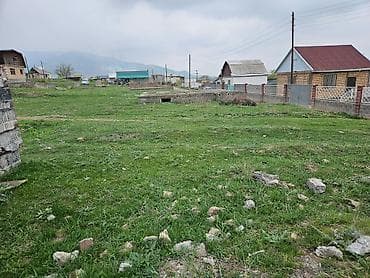 аламудунский: 500 соток, Красная книга, Договор купли-продажи — 1