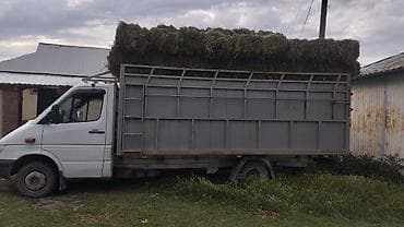 купить зерно: Сено в тюках - Натуральное луговое сено, спрессовано в тюки удобного — 2