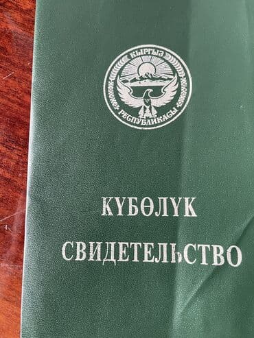 дом на иссык куле купить: 250 соток, Бизнес үчүн — 3