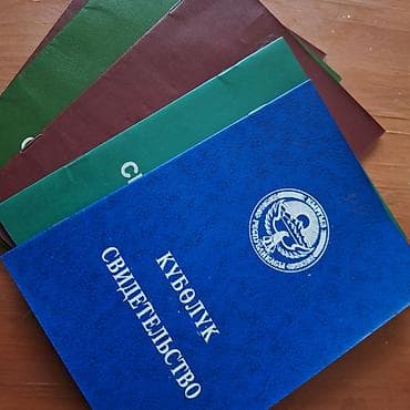 300 соток, Для сельского хозяйства, Договор купли-продажи — 1