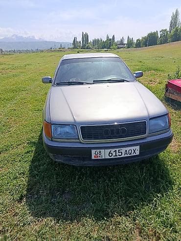 Audi: Audi 100: 1991 г., 2.3 л, Механика, Бензин, Седан — 4