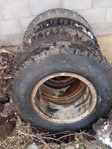 продаю ист: Колеса в сборе R 19.5, Б/у, Комплект, Грузовики/Автобусы, Железные — 1